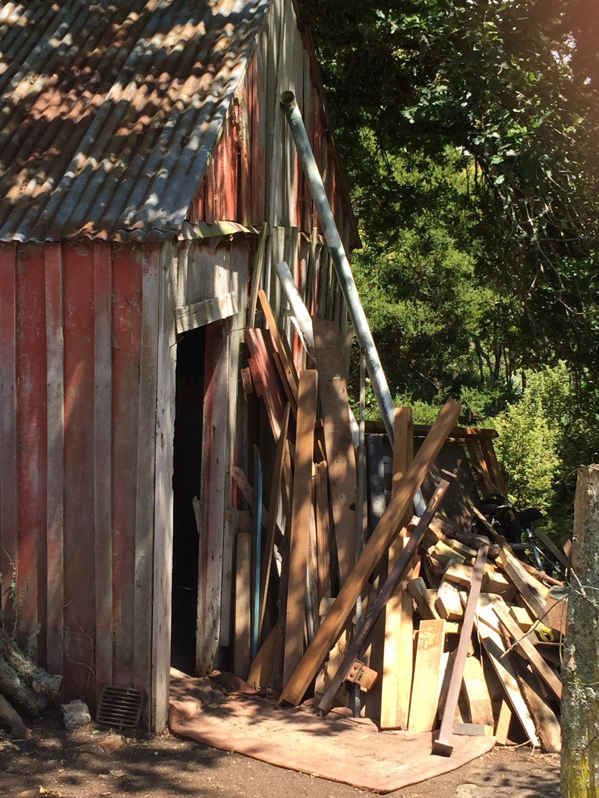 Where to start Timber piles galore