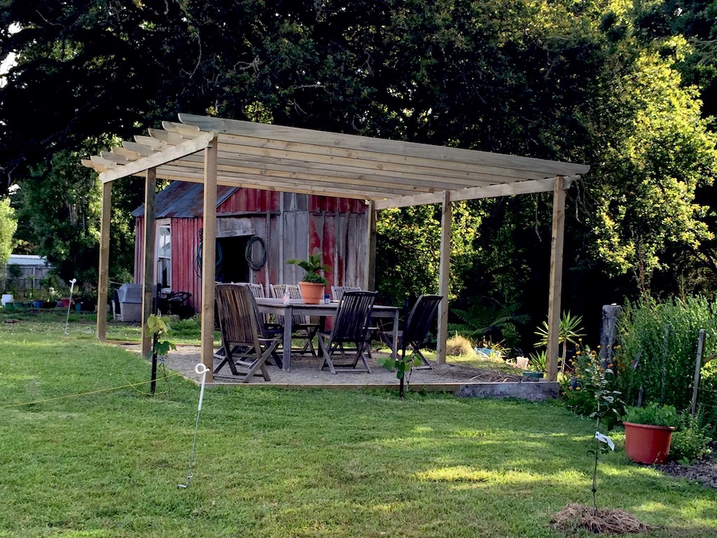 somewhere to dine outdoors First grape plantings