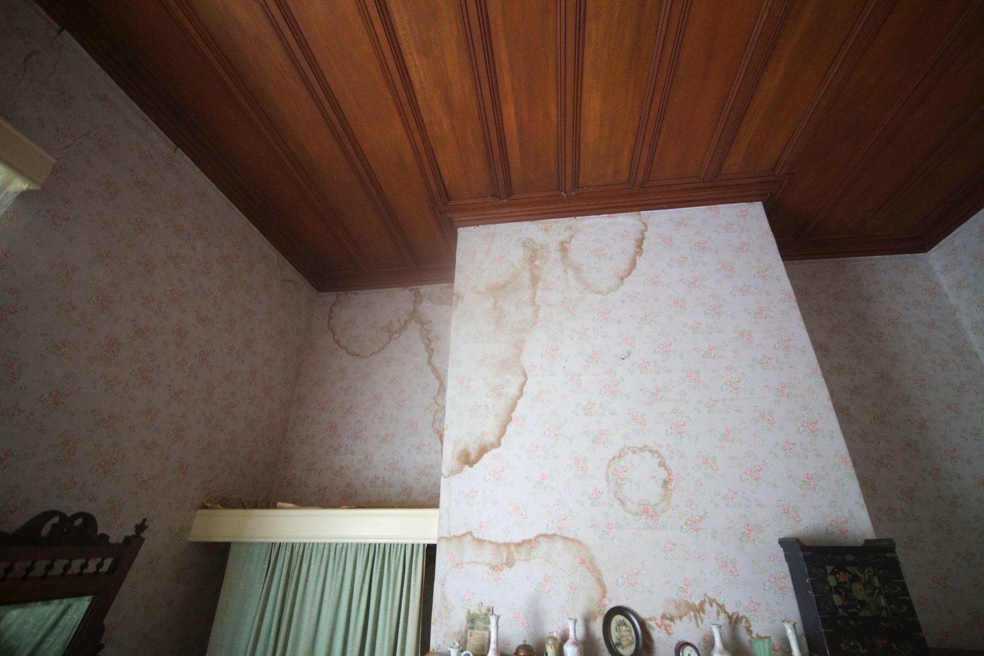 It didn't put me off, only others thank goodness Water stains in the house